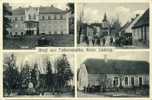 Sokoliniec widokowa - Reprodukcja 27281