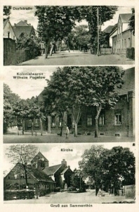 Zamęcin widokowa - Reprodukcja 27299