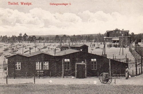 nowe-27358.jpg