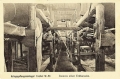 nowe-27361.jpg