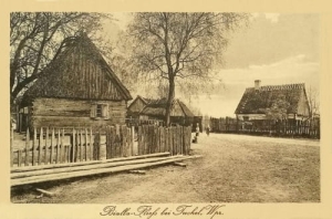 Biała - Reprodukcja 27188