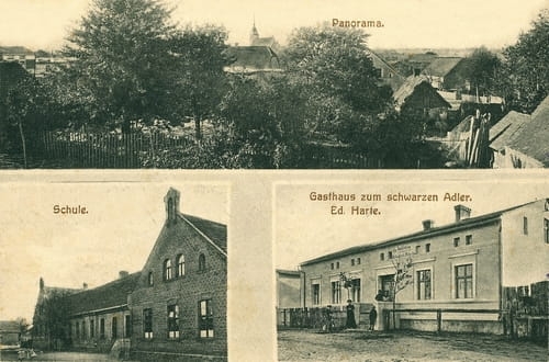 nowe-27407.jpg