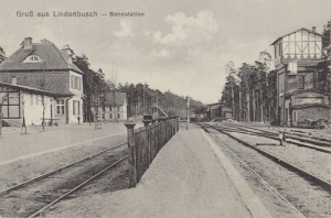 Stary Wierzchucin - Reprodukcja 27428