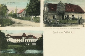 Śliwice widokowa  - Reprodukcja 27433