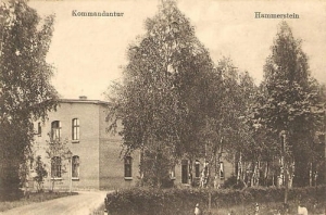 Czarne - Reprodukcja 27449
