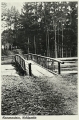nowe-27507.jpg