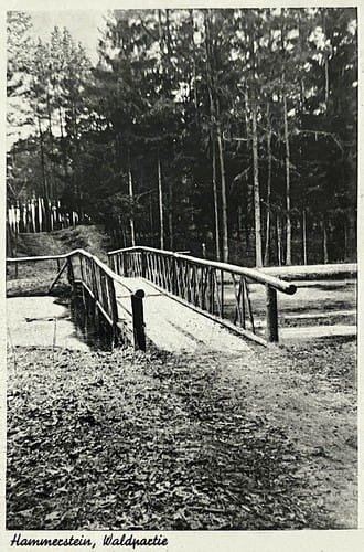 nowe-27507.jpg