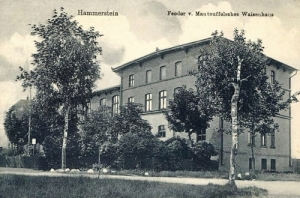 Czarne - Reprodukcja 27456
