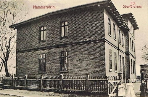 nowe-27475.jpg
