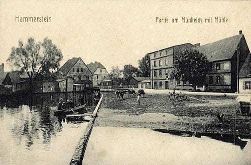 nowe-27493.jpg