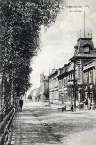 Czarne Parkstr. - Reprodukcja 27494