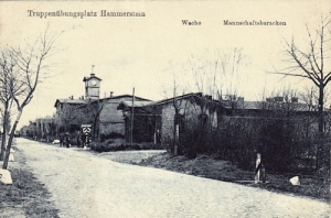 Czarne - Reprodukcja 27499