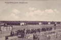 nowe-27501.jpg