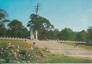Puławy - 08982