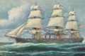 nowe-003a.jpg
