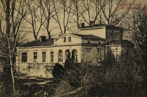 Skierniewice Willa Rittendorta - Reprodukcja 5268