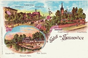 Sosnowiec widokowa - Reprodukcja 15440