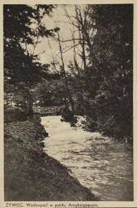 Żywiec Wodospad - Reprodukcja 5164