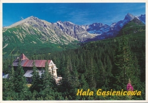 Hala Gąsienicowa - 09117