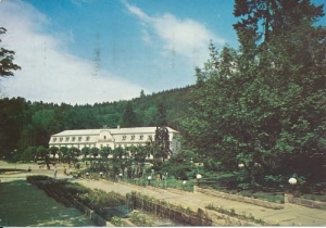 Kudowa Zdrój - 09136