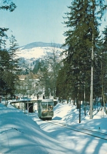 Krynica - 09141