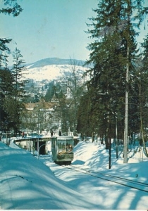 Krynica - 09199