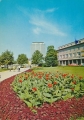nowe-IMG_0029.jpg