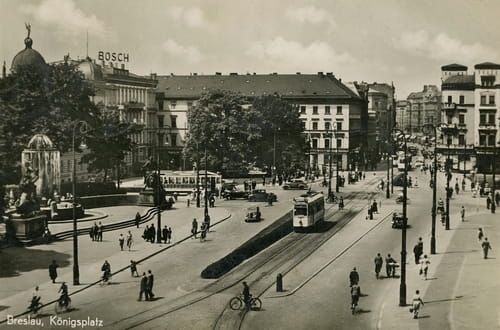 nowe-27611.jpg