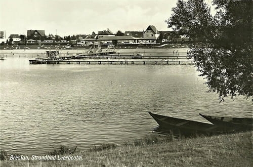 nowe-27615.jpg
