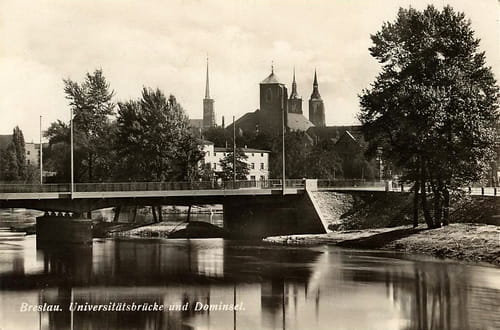 nowe-27629.jpg