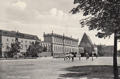 nowe-27630.jpg
