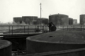 nowe-27696.jpg