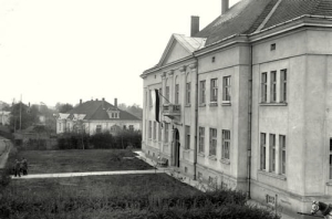 Jedlicze - Reprodukcja 27703