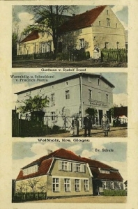 Białołęka widokowa  - Reprodukcja 27758