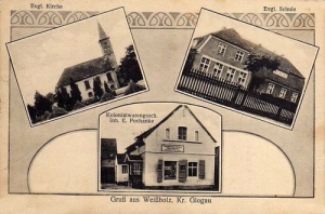 Białołęka widokowa  - Reprodukcja 27759