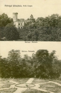 Białołęka widokowa  - Reprodukcja 27762