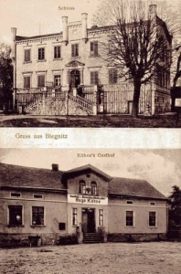 Bogomice widokowa  - Reprodukcja 27763