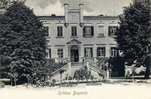 Bogomice pałac  - Reprodukcja 27764