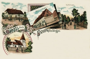 Brzeg Głogowski  - Reprodukcja 27768