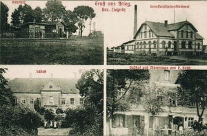 Brzeg Głogowski  - Reprodukcja 27773