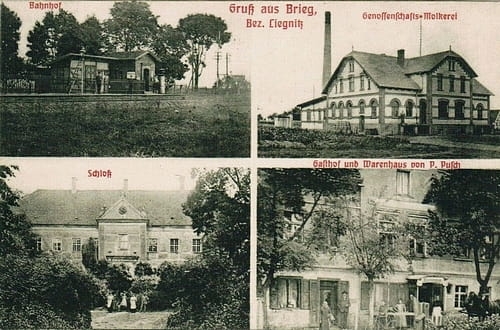 nowe-27773.jpg