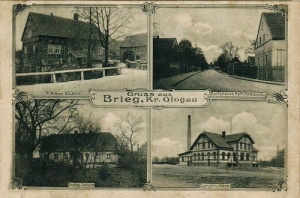 Brzeg Głogowski  - Reprodukcja 27774