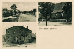 Chociemyśl widokowa  - Reprodukcja 27775