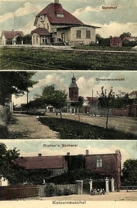 Chociemyśl widokowa  - Reprodukcja 27779