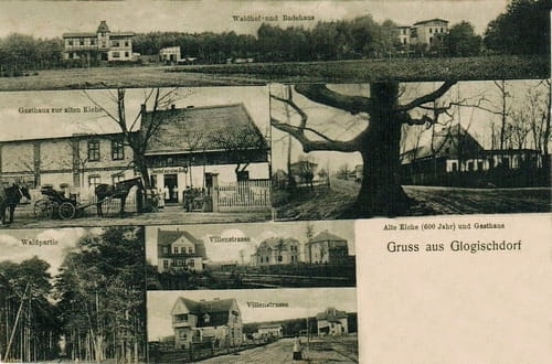 nowe-27818.jpg
