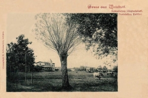 Głogówko panorama - Reprodukcja 27823