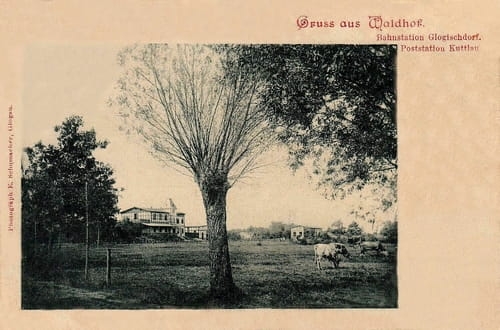 nowe-27823.jpg