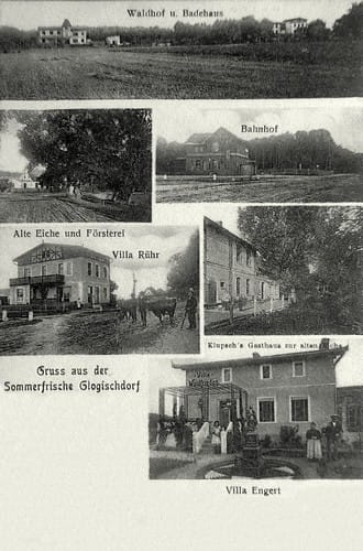 nowe-27830.jpg
