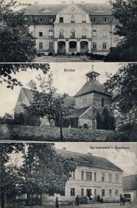 Jerzmanowa widokowa - Reprodukcja 27855