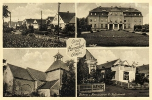 Jerzmanowa widokowa - Reprodukcja 27857
